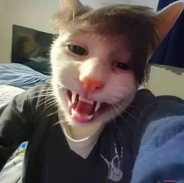 meme mlem hài hước