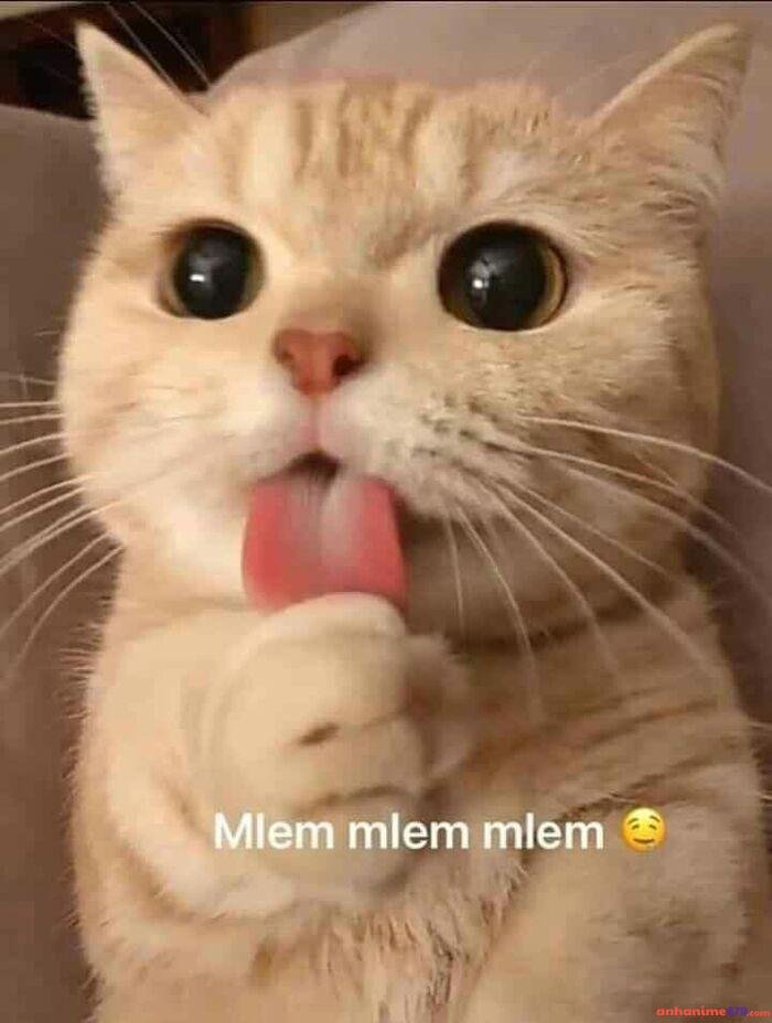 meme mlem