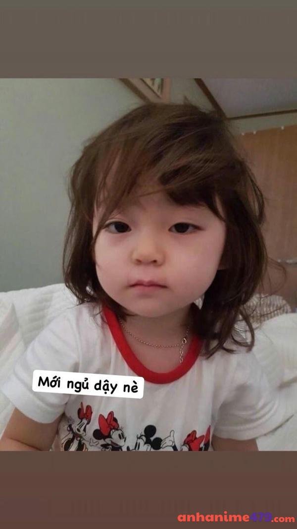 meme mới ngủ dậy biểu cảm độc đáo