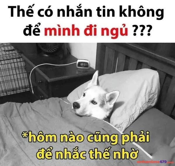 meme mới ngủ dậy chế siêu hài