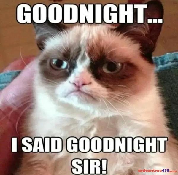 meme mới ngủ dậy meme buồn cười