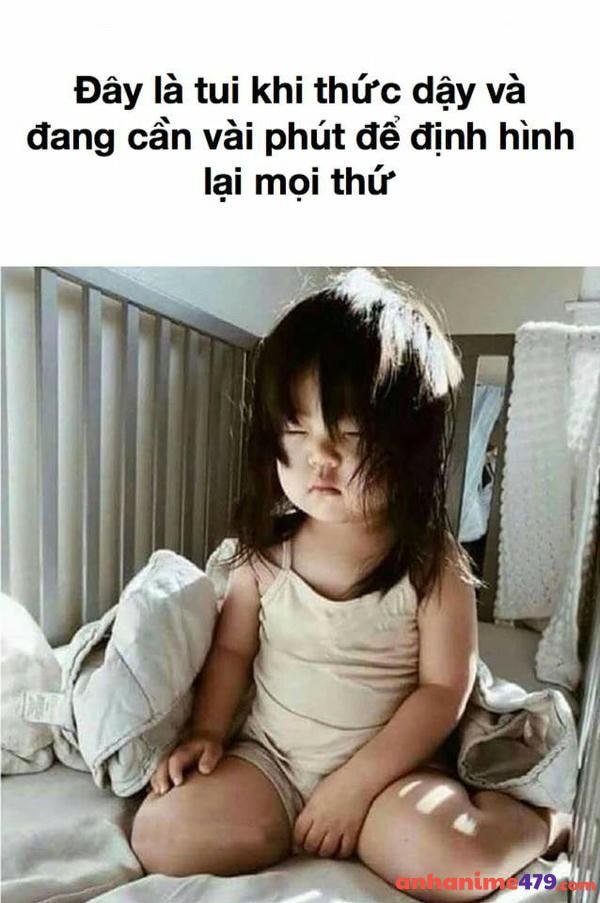 meme mới ngủ dậy meme hot nhất