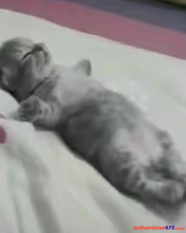 meme mới ngủ dậy meme viral