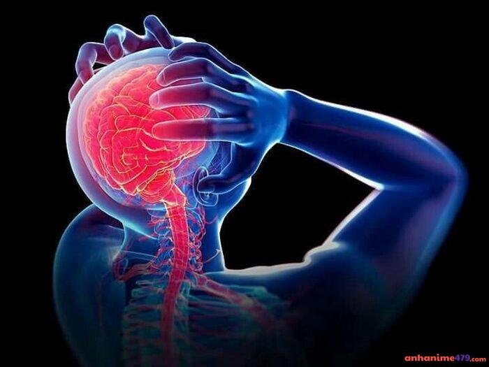 meme não độc nhất