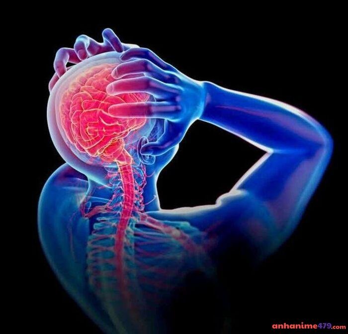 meme não hài hước