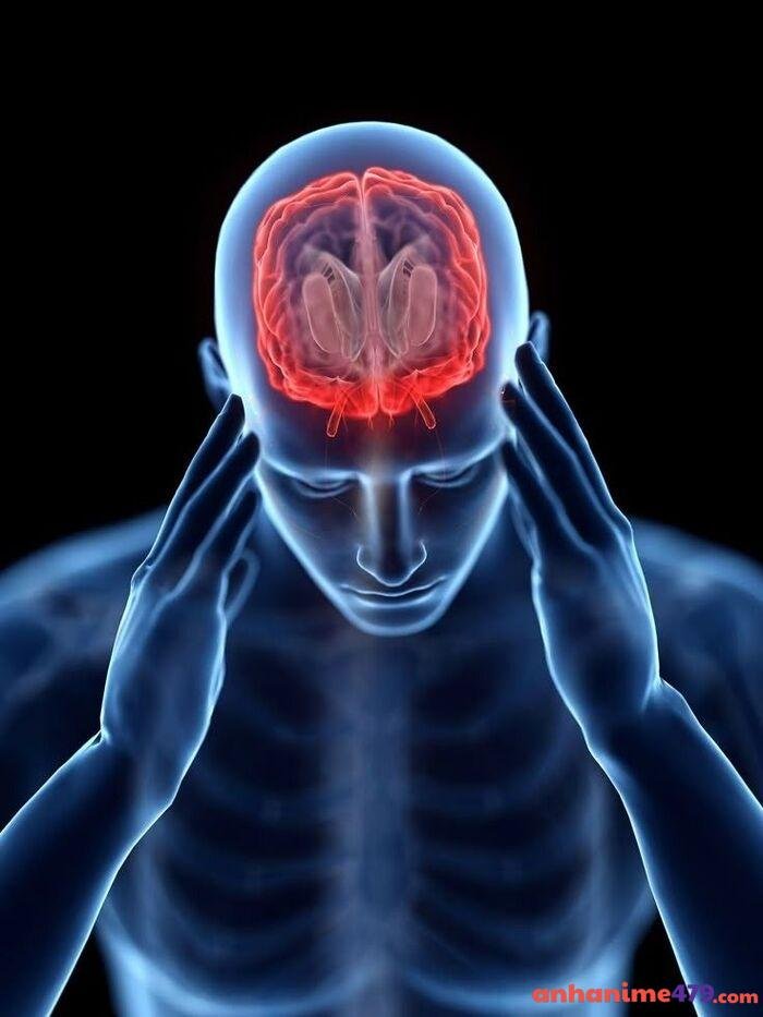 meme não siêu ảo