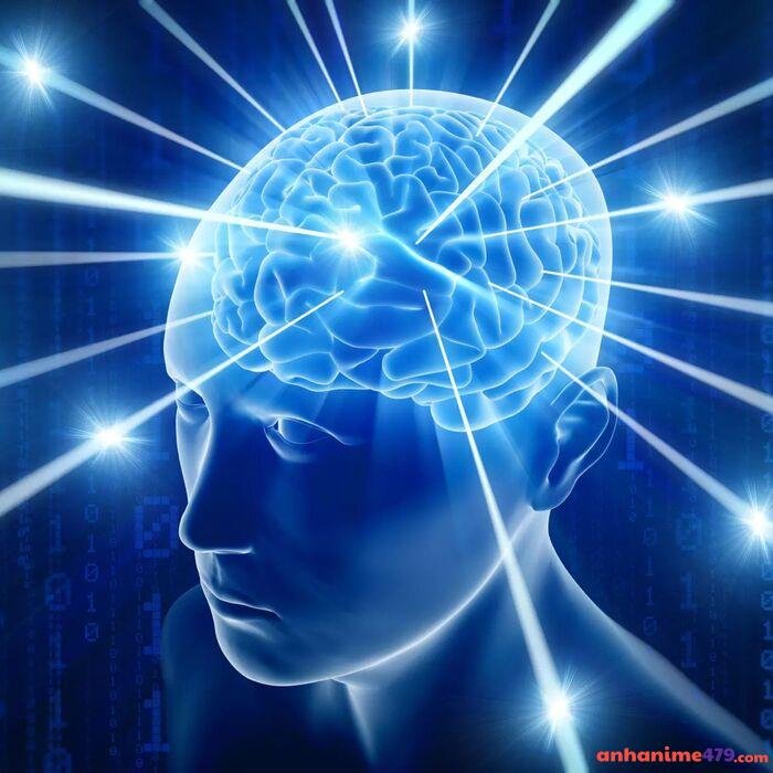 meme não siêu việt