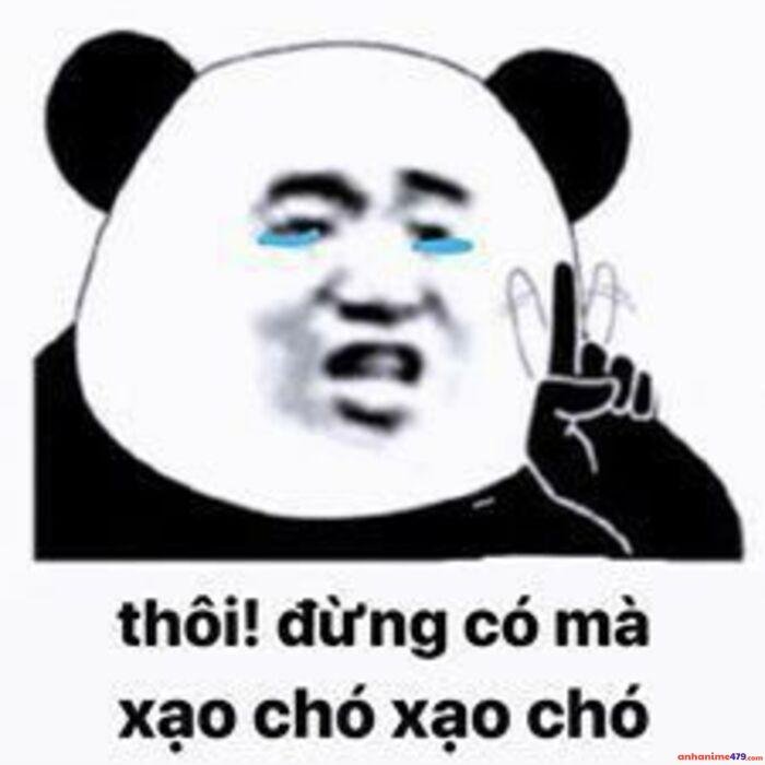 meme ngu hài hước