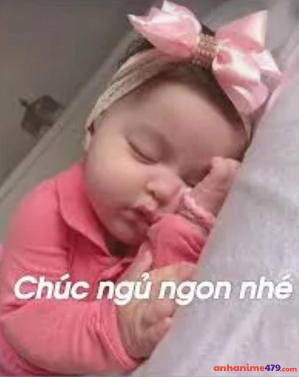 meme ngủ ngoan