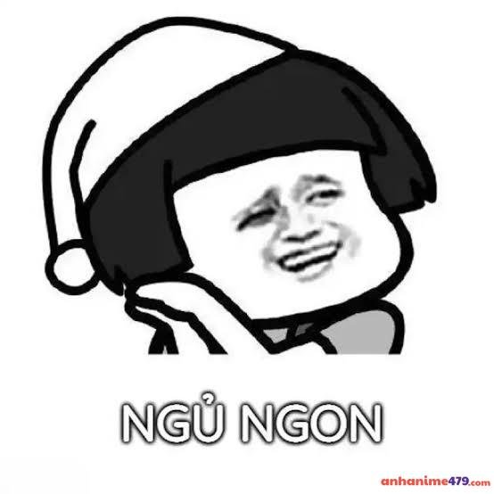 meme ngủ ngon hài bựa