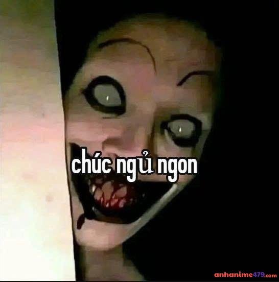 meme ngủ ngon