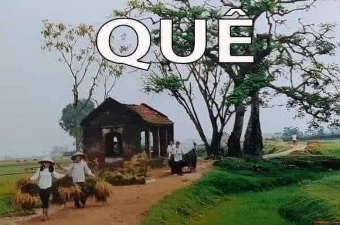 meme quê ảnh hài