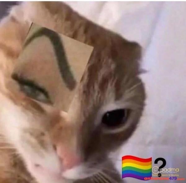 meme sẽ gầy chế hài