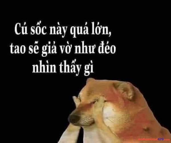 meme sốc nổ não