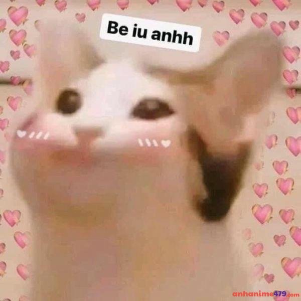 meme thả tim troll