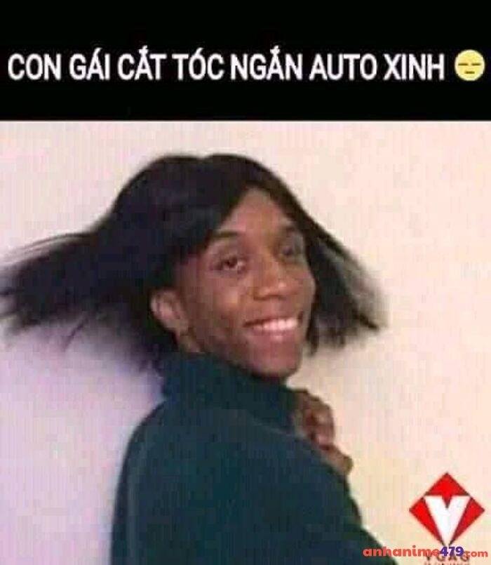 meme tóc ngắn bựa nhất