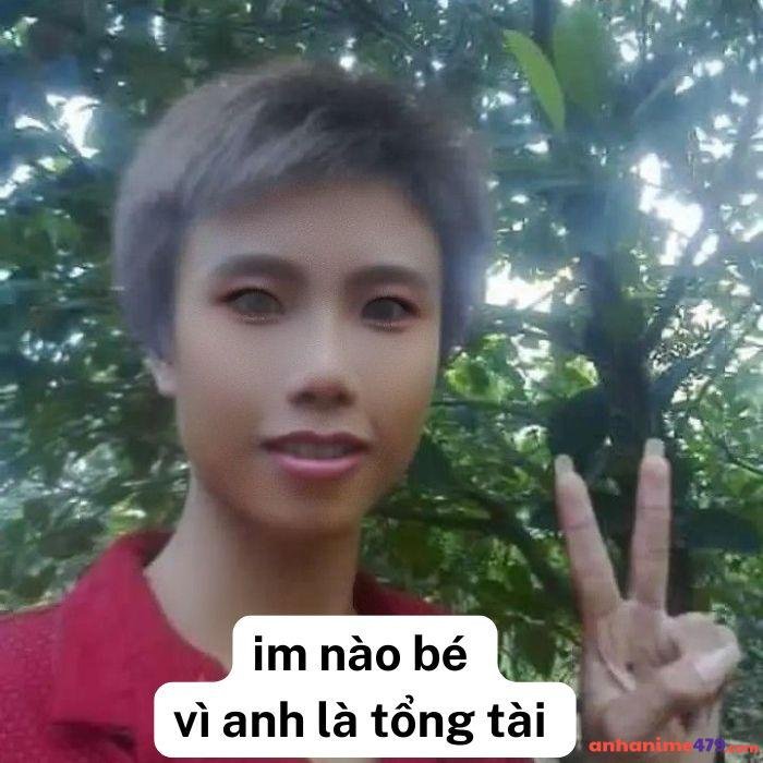 meme tổng tài đạt vina