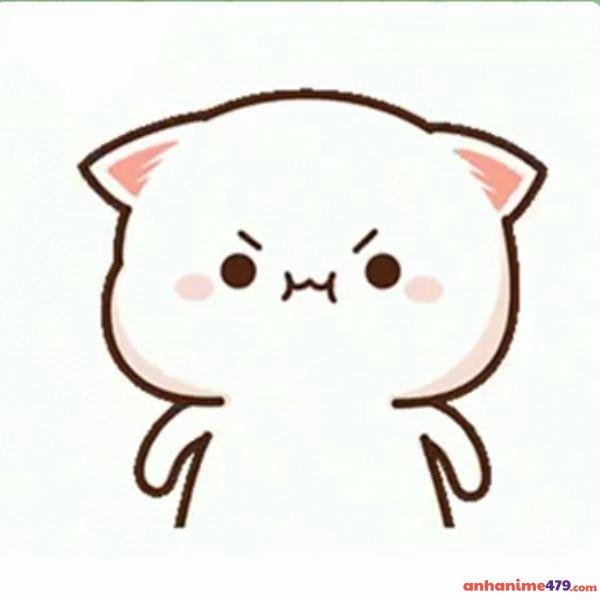 meme tức giận mèo trắng