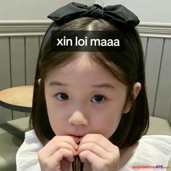 meme xin lỗi hót