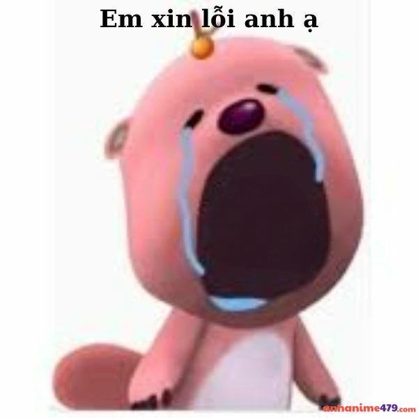 meme xin lỗi lôpy