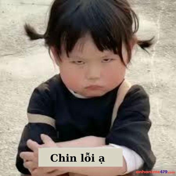 meme xin lỗi mà dỗi