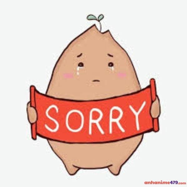 meme xin lỗi sory