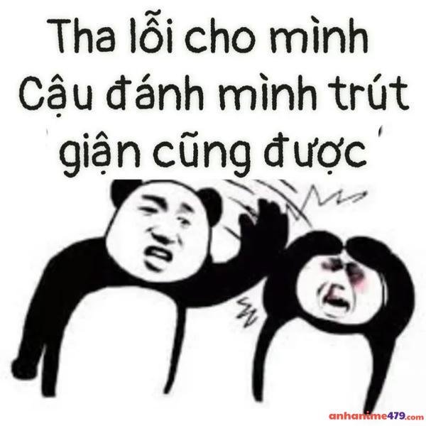 meme xin lỗi trung quốc