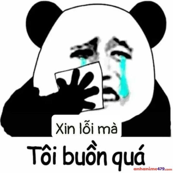 meme xin lỗi vì buồn