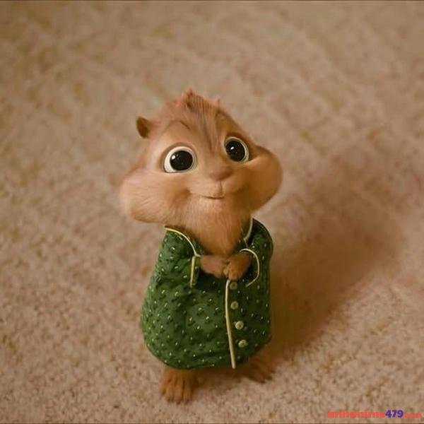 meme xin tiền buồn cười