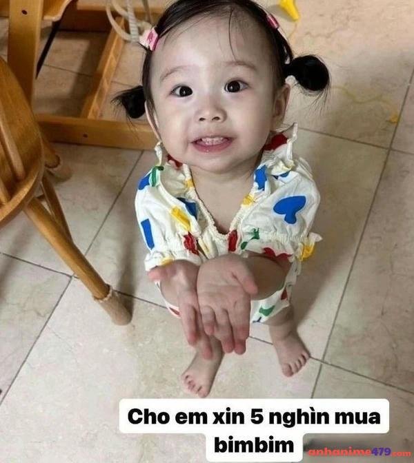 meme xin tiền hài hước vui nhộn