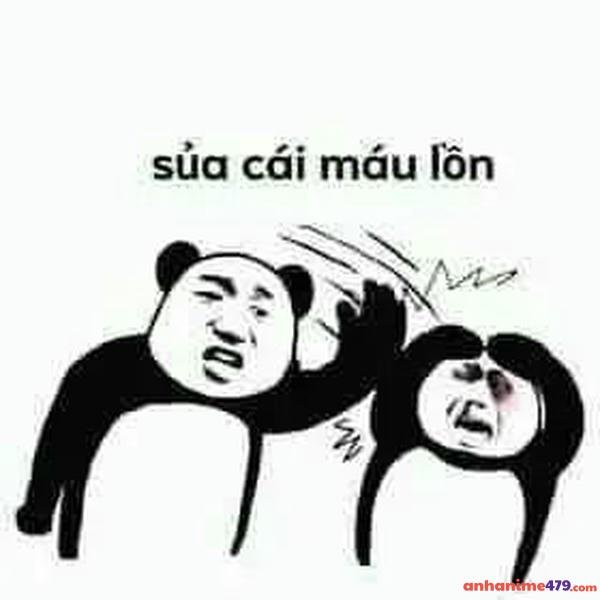 meme xoa đầu meme siêu hài