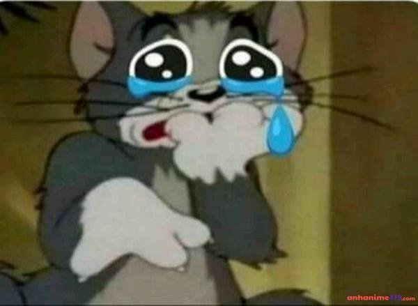 mèo tôm trong phim jerry