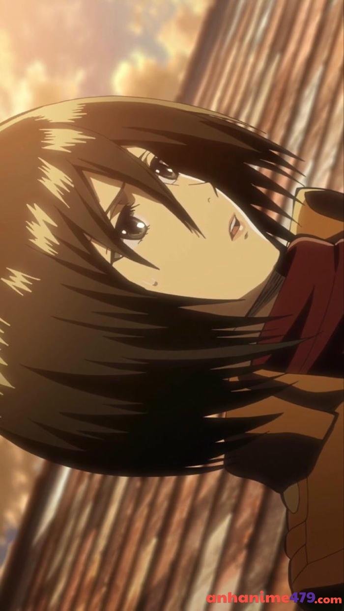 mikasa ackerman chiến đấu