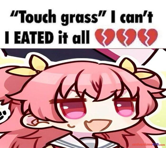 momoi meme chế hài