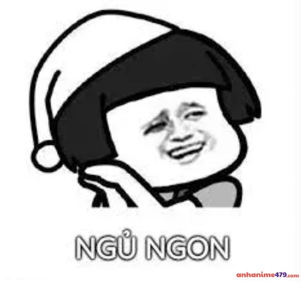 ngủ ngon meme hài