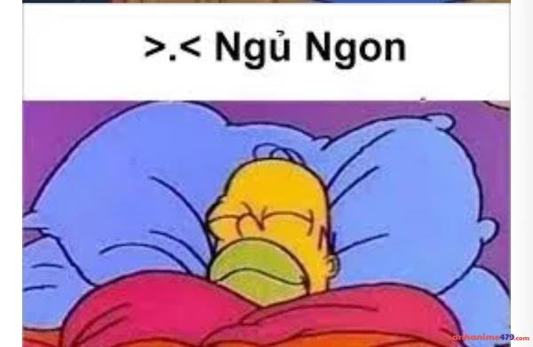 ngủ ngon meme