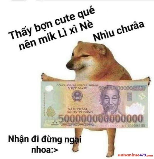 nhặt tiền đi