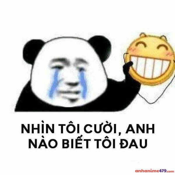 nhìn bạn cười em gấu khóc