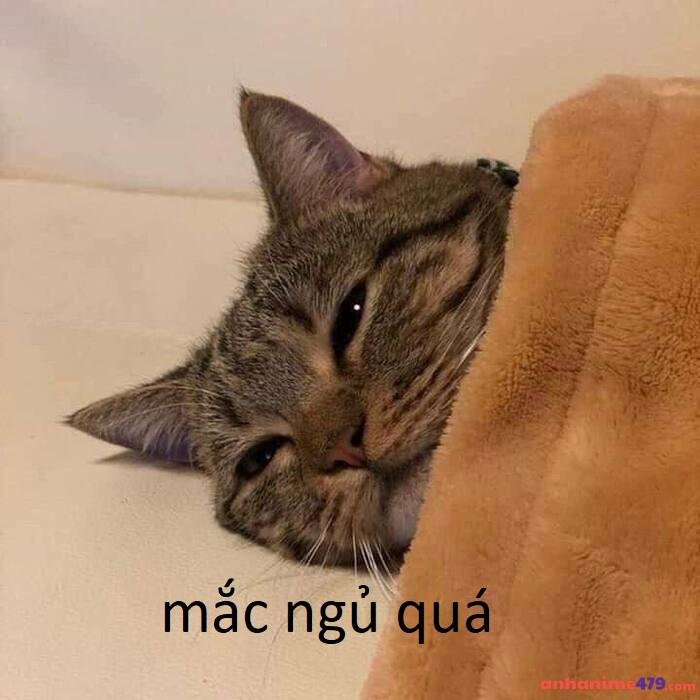 photo_25_2025-10-22_00-20-24