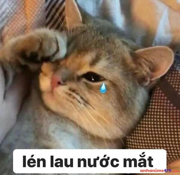 sad meme lén lau nước mắt