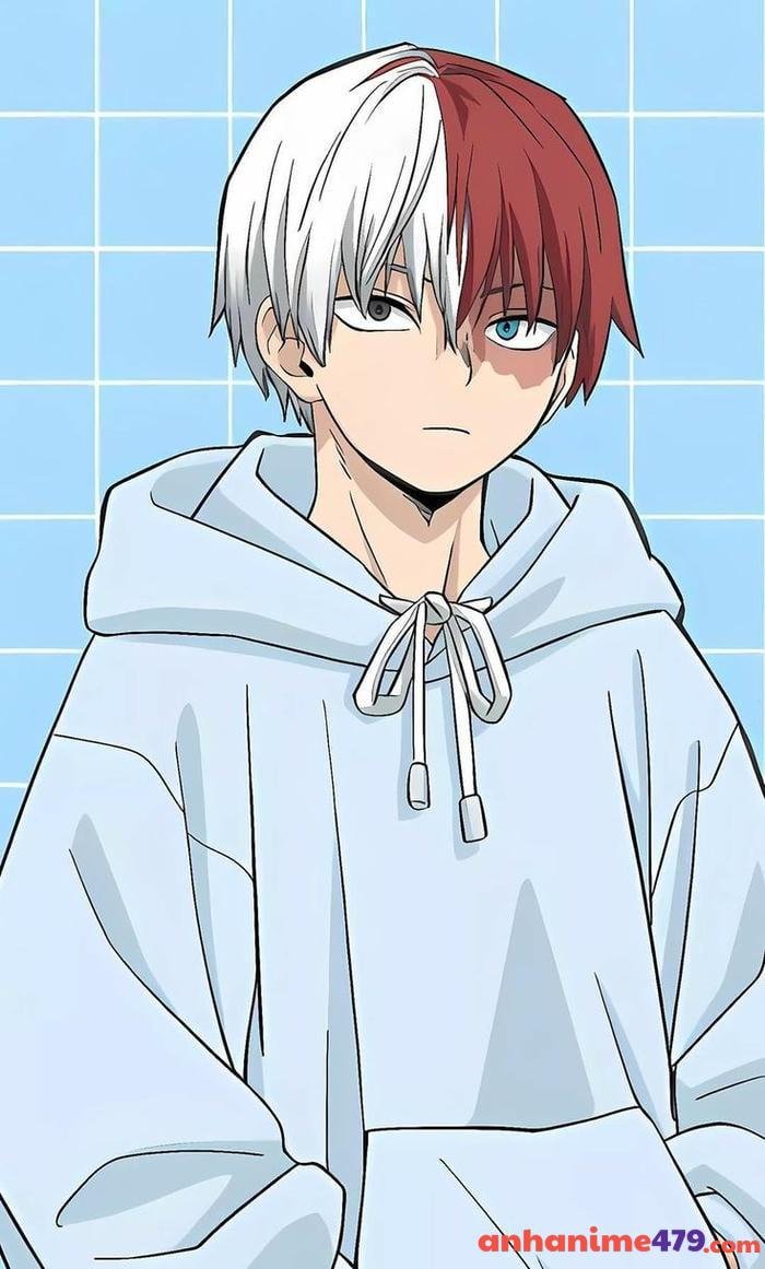 shoto todoroki hình nền