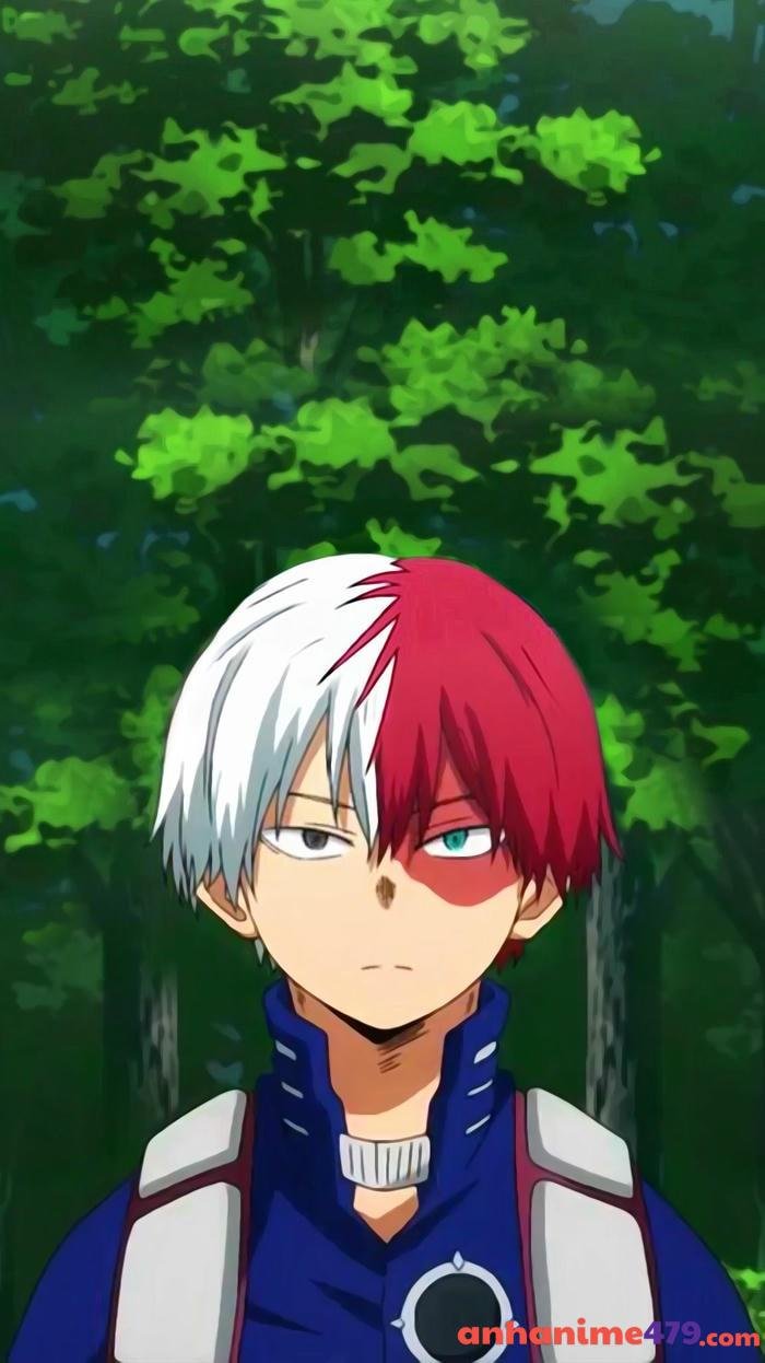 shoto todoroki hoạt hình
