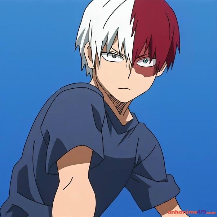 shoto todoroki ngầu