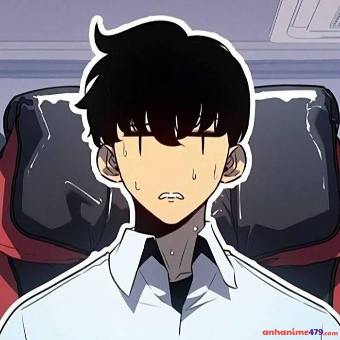 solo leveling meme anime