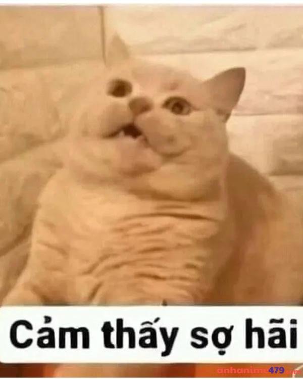 thấy sợ hãi