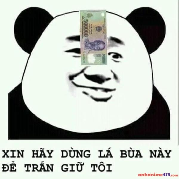 tiền gấu trúc meme