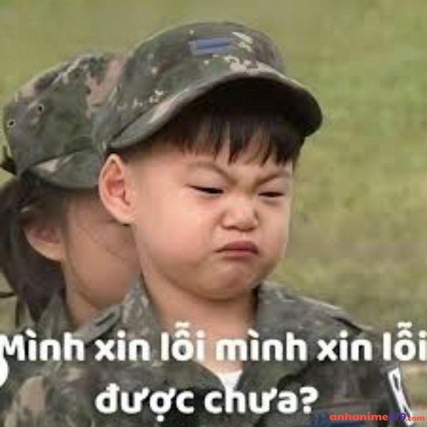 văn mẫu đơn xin lỗi meme