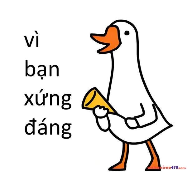 vì bạn xứng đáng bựa