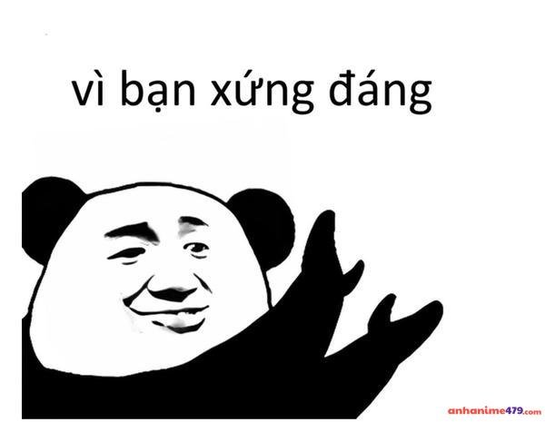 vì bạn xứng đáng bựa