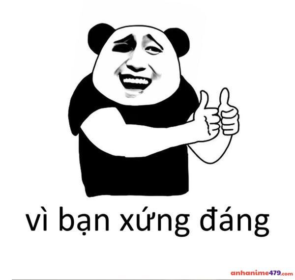 vì bạn xứng đáng hài